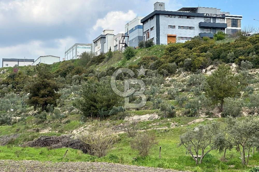 MENDERES TEKELİ İ.T.O.B OSB YANI YATIRIMLIK 500 M2 SATILIK ARAZİ