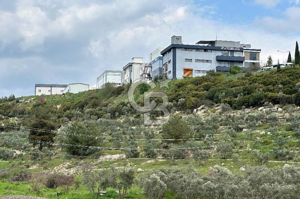 MENDERES TEKELİ İ.T.O.B OSB YANI YATIRIMLIK 500 M2 SATILIK ARAZİ