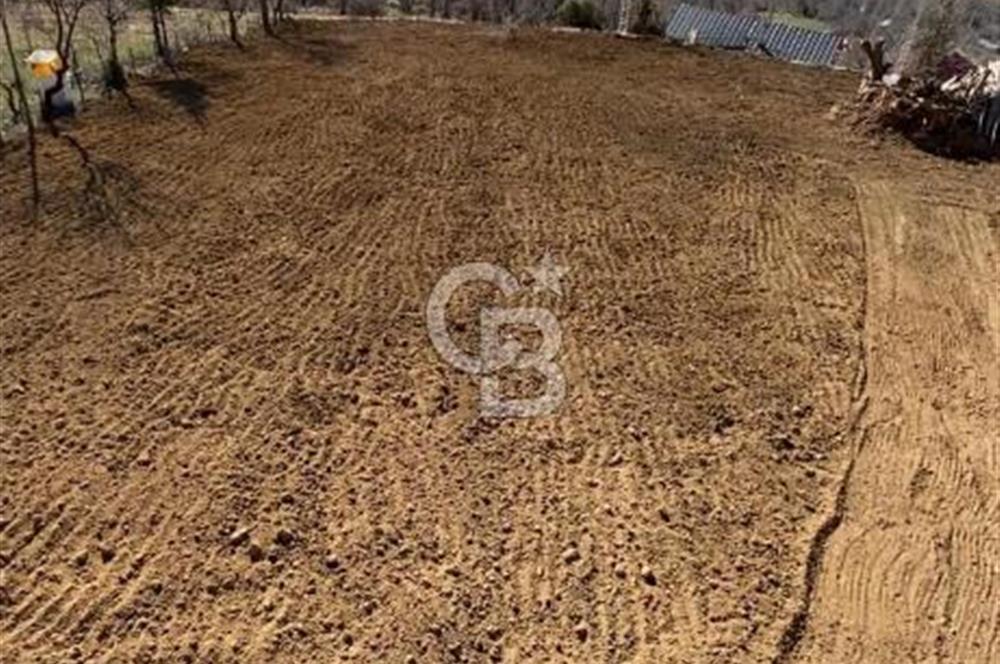 ERMENEK MERKEZDE KİRALIK HAZIR AHIR VE ARAZİ 