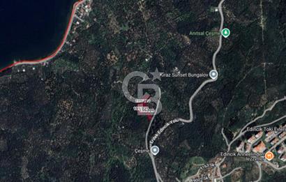 CB Leader'dan Edincik'te Denize 500m Bakımlı Zeytinlik