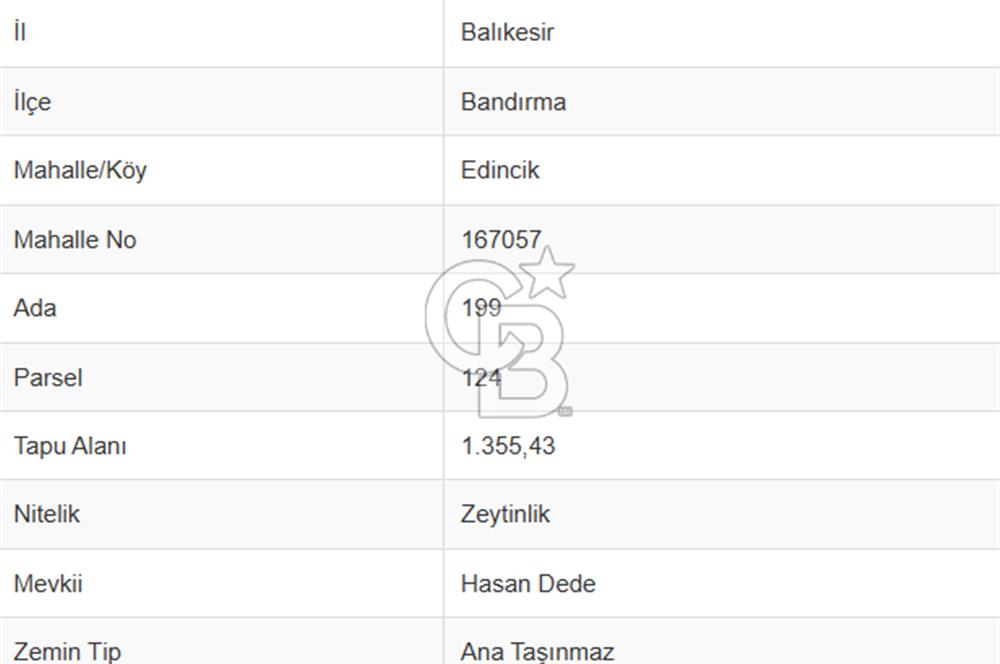 CB Leader'dan Edincik'te Denize 500m Bakımlı Zeytinlik