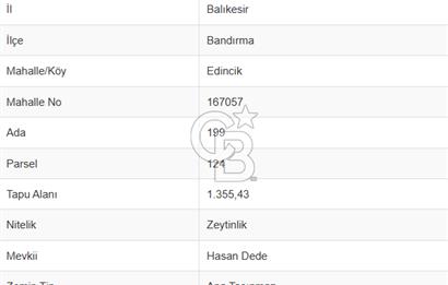 CB Leader'dan Edincik'te Denize 500m Bakımlı Zeytinlik