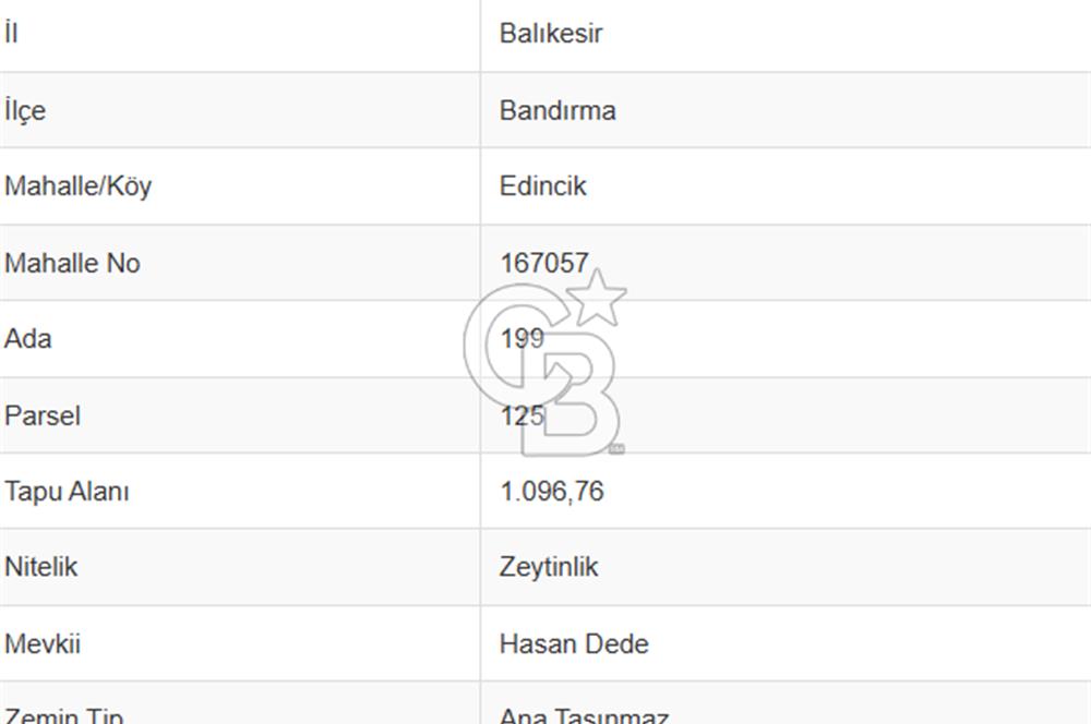 CB Leader'dan Edincik'te Denize 500m Bakımlı Zeytinlik