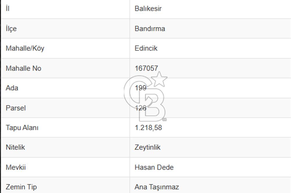 CB Leader'dan Edincik'te Denize 500m Bakımlı Zeytinlik