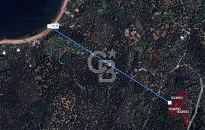 CB Leader'dan Edincik'te Denize 500m Bakımlı Zeytinlik