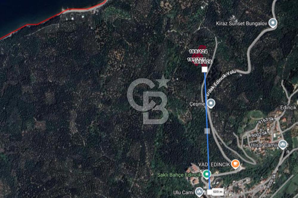 CB Leader'dan Edincik'te Denize 500m Bakımlı Zeytinlik