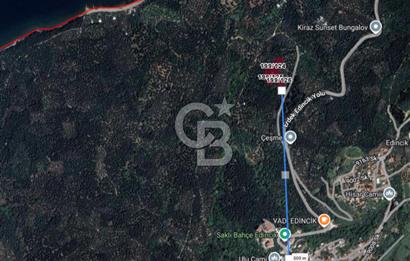 CB Leader'dan Edincik'te Denize 500m Bakımlı Zeytinlik