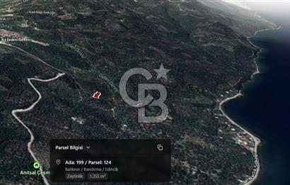 CB Leader'dan Edincik'te Denize 500m Bakımlı Zeytinlik