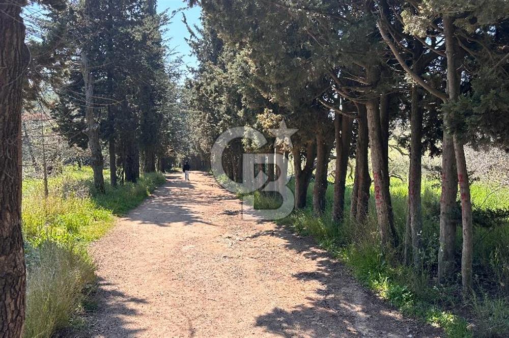 KOŞUYOLU KİRALIK SIFIR 3+1_AÇIK MTFK | EBEVEYN B. | KAPALI GARAJ