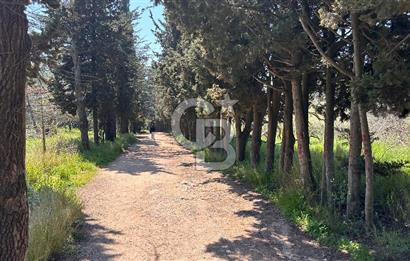 KOŞUYOLU KİRALIK SIFIR 3+1_AÇIK MTFK | EBEVEYN B. | KAPALI GARAJ