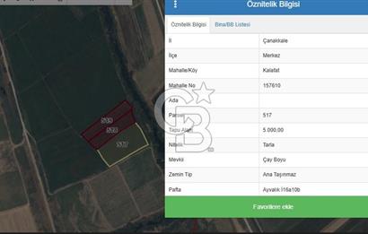 ÇANAKKALE MERKEZ KALAFAT KÖYÜNDE SATILIK 5.000 m2 ARAZİ