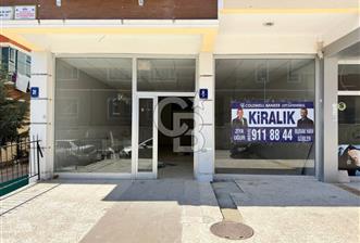 Yenikent'in Kalbinde, İşlek Cadde Üzerinde Kiralık 115 m² İş Yeri! Yüksek Potansiyelli Konum! - 1 - 343559