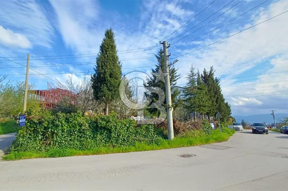 CB AKADEMİ Kabaoğlunda Deniz Manzaralı Köşe Parsel Villa İmarlı