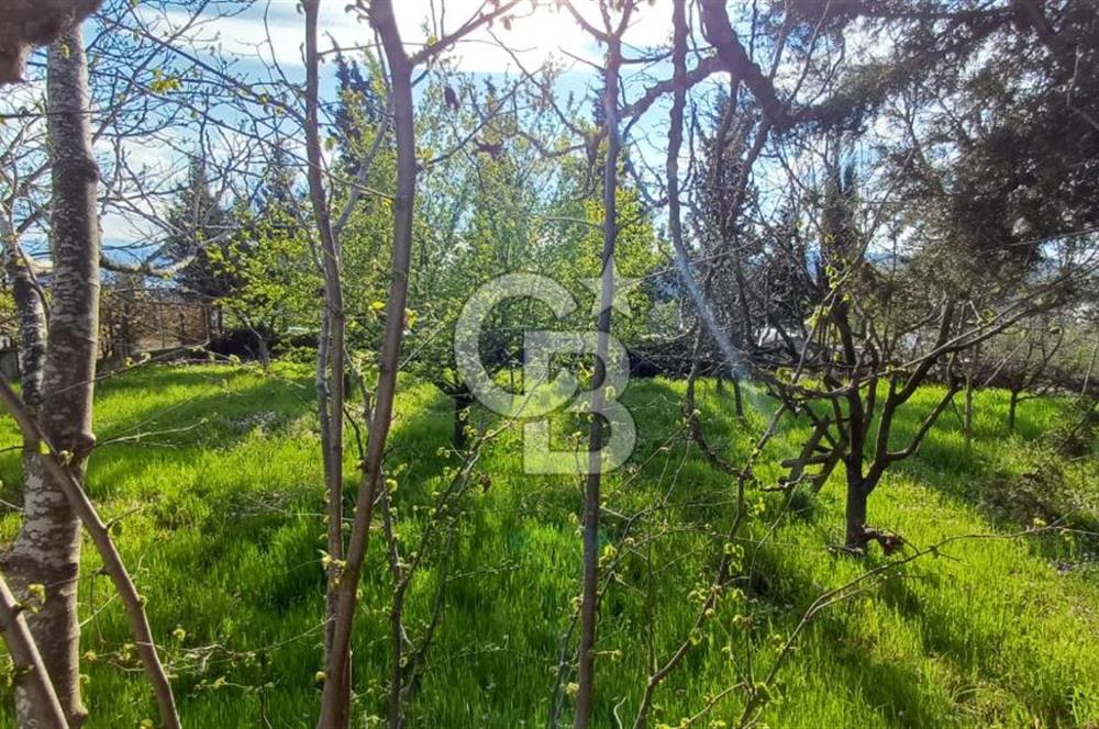 CB AKADEMİ Kabaoğlunda Deniz Manzaralı Köşe Parsel Villa İmarlı