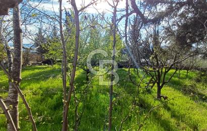 CB AKADEMİ Kabaoğlunda Deniz Manzaralı Köşe Parsel Villa İmarlı