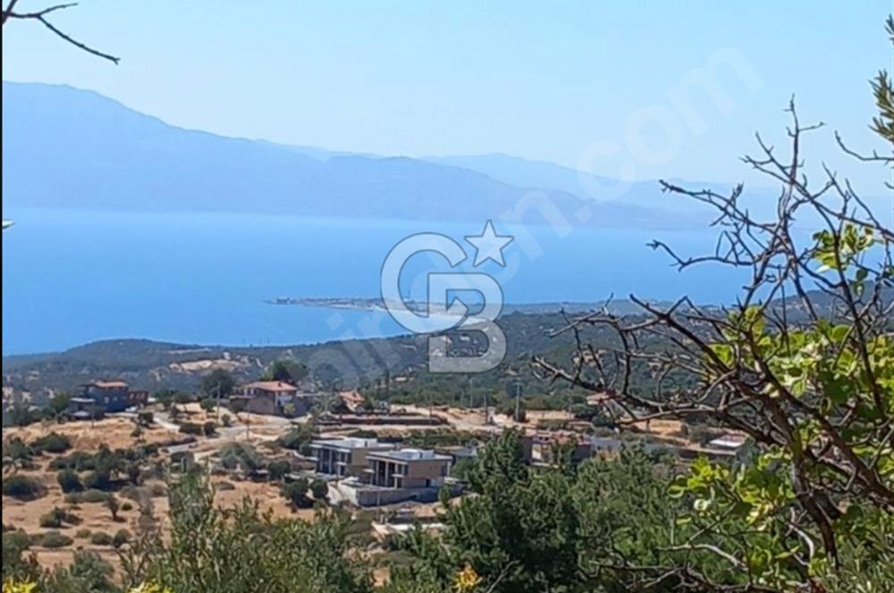 ÇANAKKALE AYVACIK KOZLU'DA PANAROMİK DENİZ MANZARALI ZEYTİNLİK