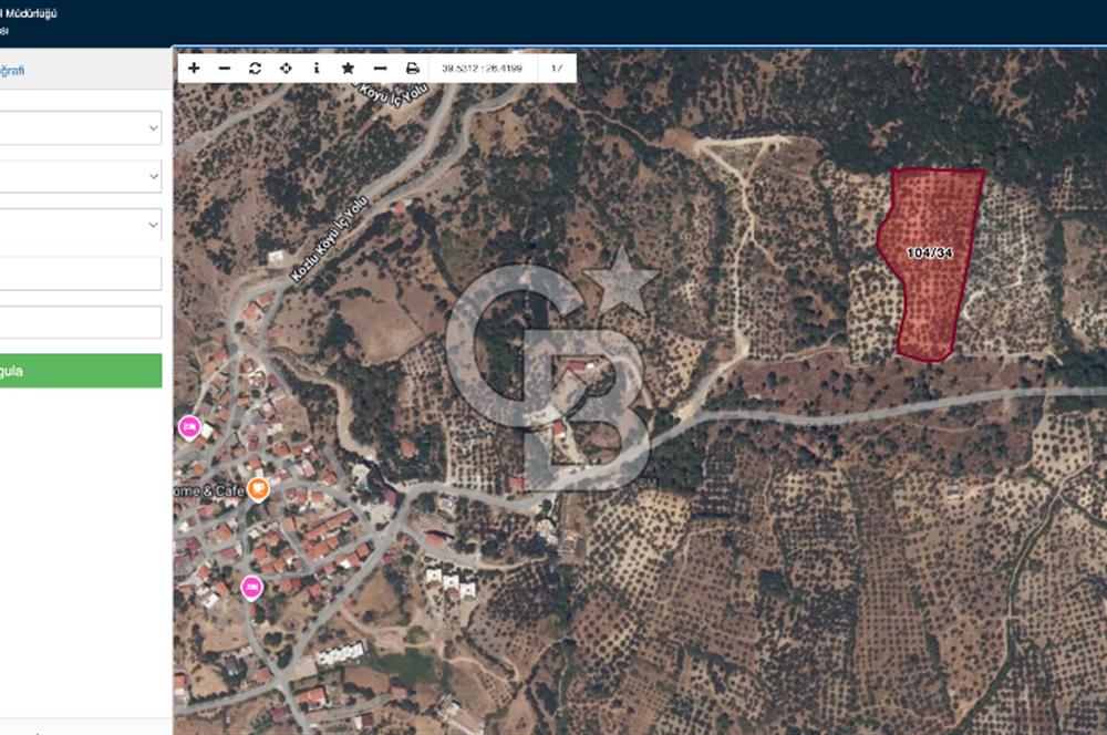 ÇANAKKALE AYVACIK KOZLU'DA PANAROMİK DENİZ MANZARALI ZEYTİNLİK
