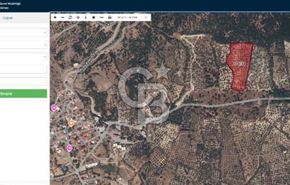 ÇANAKKALE AYVACIK KOZLU'DA PANAROMİK DENİZ MANZARALI ZEYTİNLİK