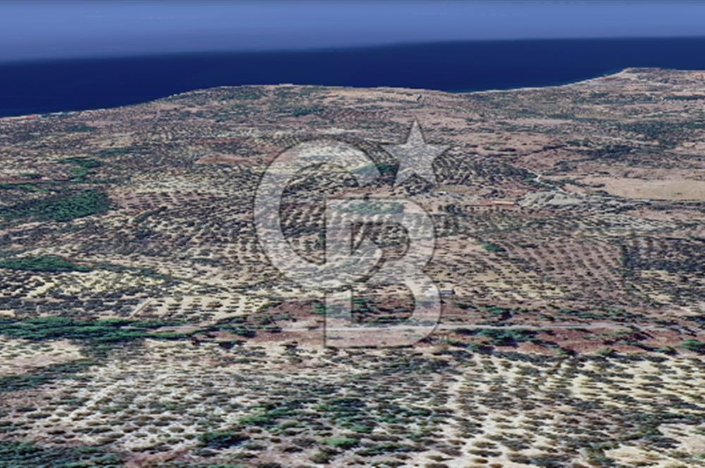 ÇANAKKALE AYVACIK KOZLU'DA PANAROMİK DENİZ MANZARALI ZEYTİNLİK