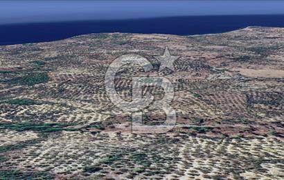 ÇANAKKALE AYVACIK KOZLU'DA PANAROMİK DENİZ MANZARALI ZEYTİNLİK