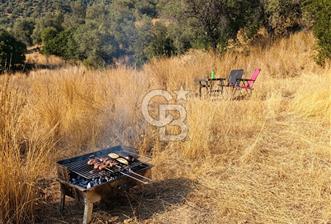 Bayındır Yeşilova Yola Cepheli Köy İçi Fırsat Satılık Zeytinlik - 6 - 343615