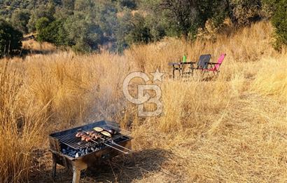 Bayındır Yeşilova Yola Cepheli Köy İçi Fırsat Satılık Zeytinlik