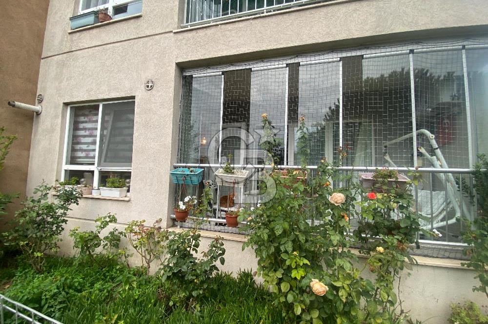 BEYLIKDÜZÜ ESTON REŞİTPAŞA 3 EVLERİ SATILIK 3 + 1 DAİRE 