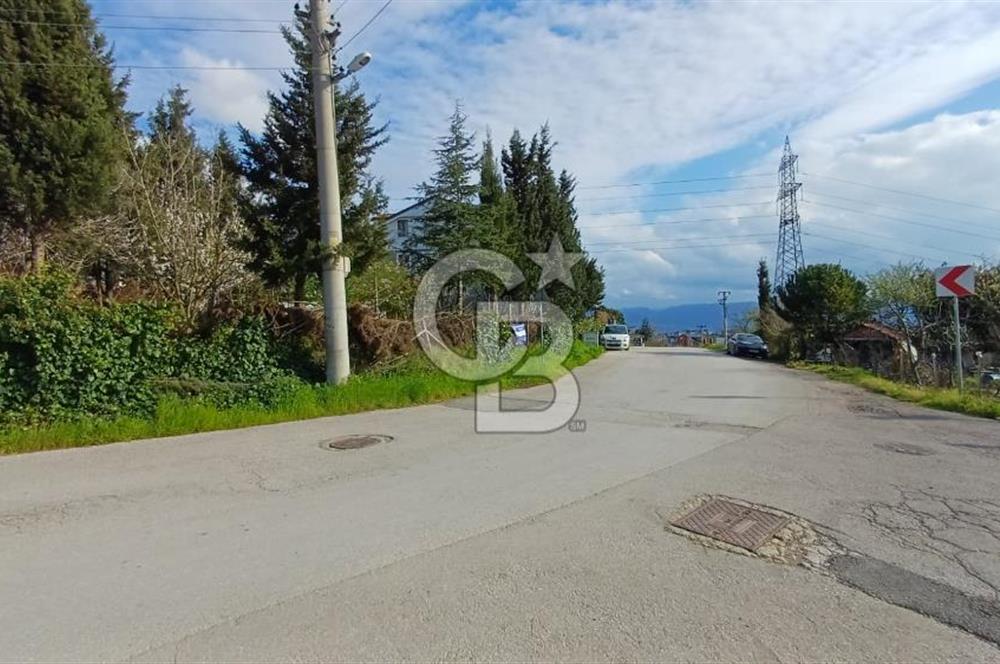 CB AKADEMİ Kabaoğlunda Deniz Manzaralı Köşe Parsel Villa İmarlı