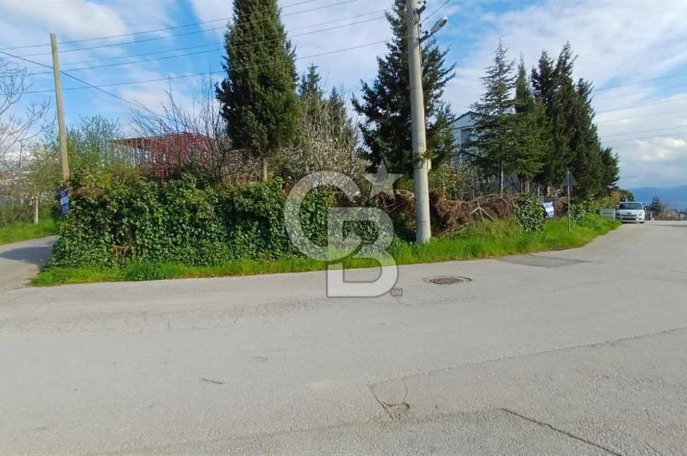 CB AKADEMİ Kabaoğlunda Deniz Manzaralı Köşe Parsel Villa İmarlı