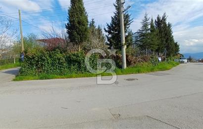 CB AKADEMİ Kabaoğlunda Deniz Manzaralı Köşe Parsel Villa İmarlı