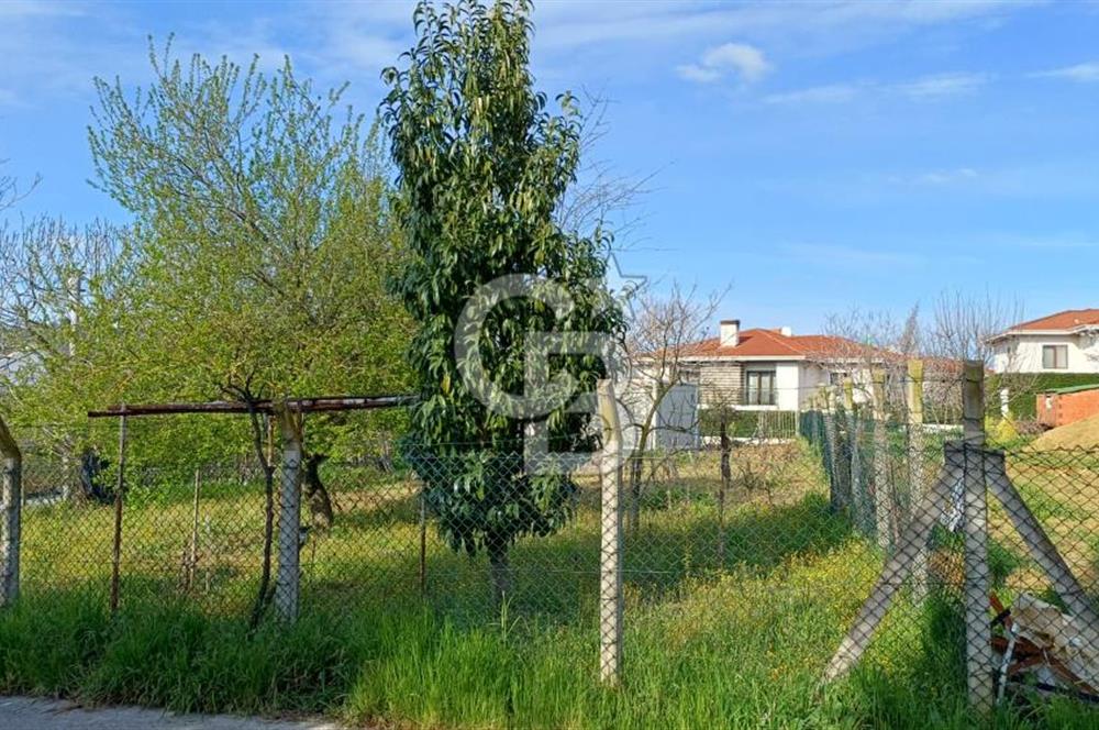 CB AKADEMİ Kabaoğlunda Deniz Manzaralı Köşe Parsel Villa İmarlı