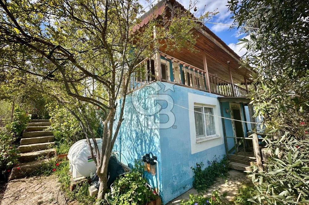 972 m² Bahçede Bağımsız Girişli 3 Katlı Müstakil Ev