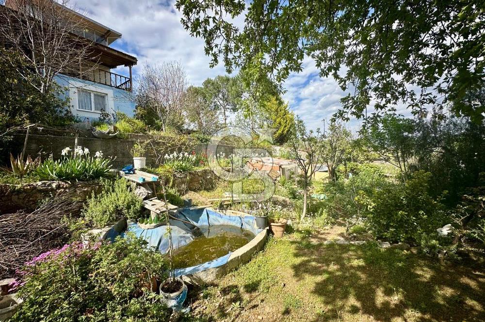 972 m² Bahçede Bağımsız Girişli 3 Katlı Müstakil Ev