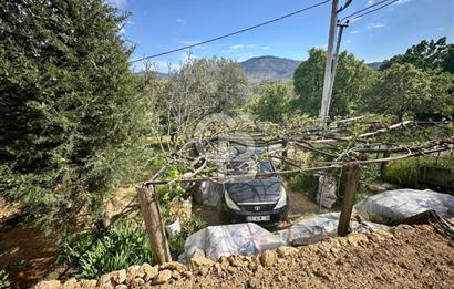 972 m² Bahçede Bağımsız Girişli 3 Katlı Müstakil Ev