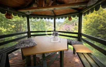 972 m² Bahçede Bağımsız Girişli 3 Katlı Müstakil Ev