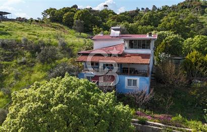 972 m² Bahçede Bağımsız Girişli 3 Katlı Müstakil Ev