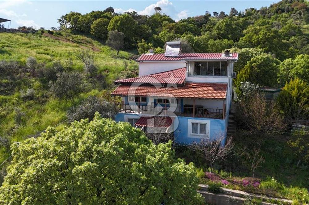 972 m² Bahçede Bağımsız Girişli 3 Katlı Müstakil Ev