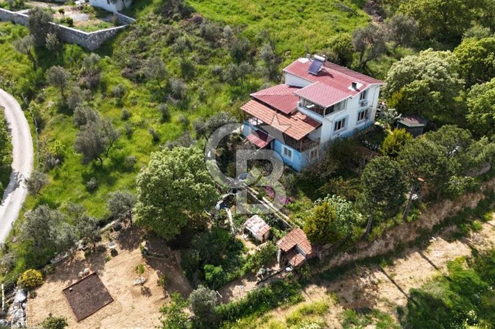 972 m² Bahçede Bağımsız Girişli 3 Katlı Müstakil Ev