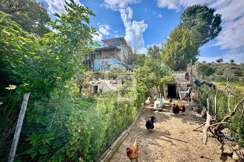 972 m² Bahçede Bağımsız Girişli 3 Katlı Müstakil Ev