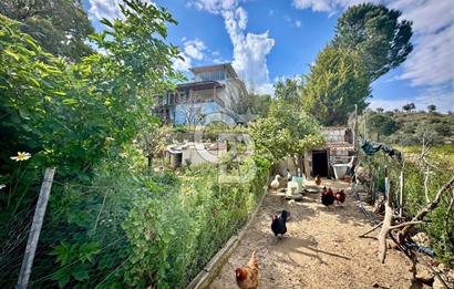 972 m² Bahçede Bağımsız Girişli 3 Katlı Müstakil Ev