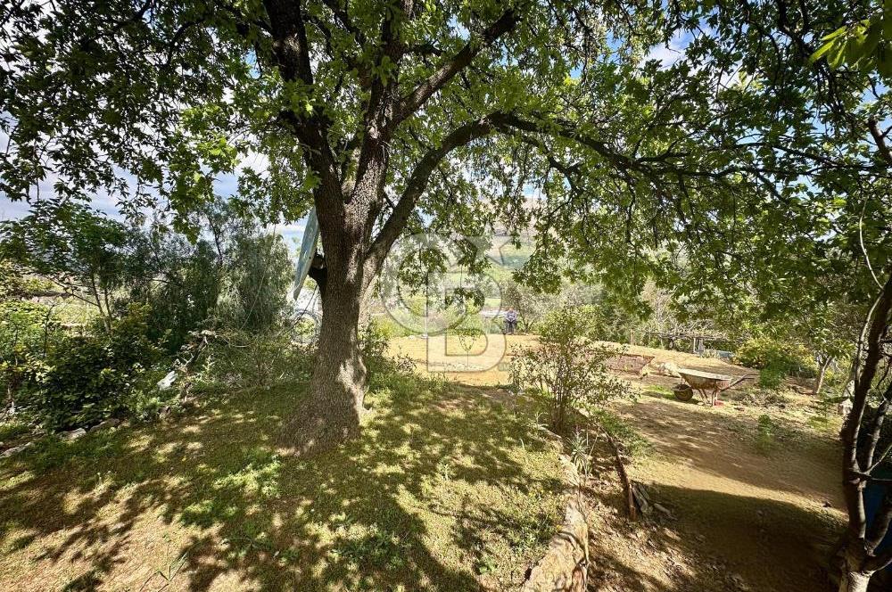 972 m² Bahçede Bağımsız Girişli 3 Katlı Müstakil Ev