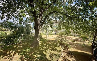 972 m² Bahçede Bağımsız Girişli 3 Katlı Müstakil Ev