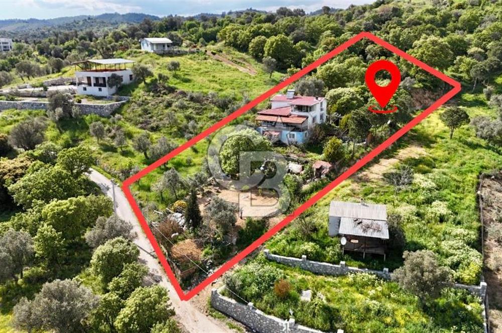 972 m² Bahçede Bağımsız Girişli 3 Katlı Müstakil Ev