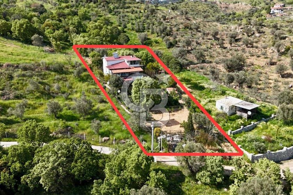 972 m² Bahçede Bağımsız Girişli 3 Katlı Müstakil Ev