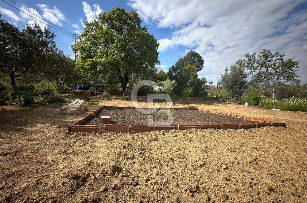 972 m² Bahçede Bağımsız Girişli 3 Katlı Müstakil Ev