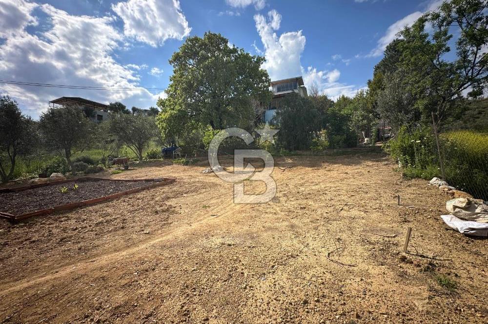 972 m² Bahçede Bağımsız Girişli 3 Katlı Müstakil Ev