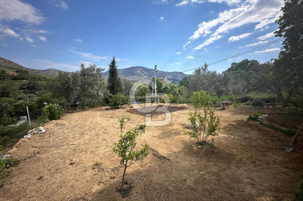 972 m² Bahçede Bağımsız Girişli 3 Katlı Müstakil Ev