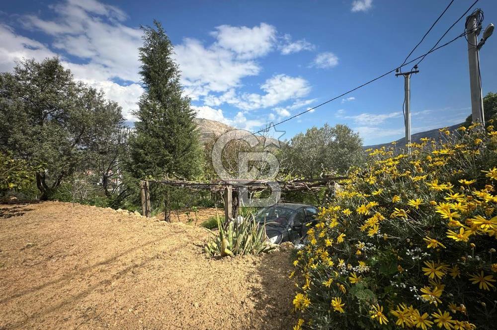 972 m² Bahçede Bağımsız Girişli 3 Katlı Müstakil Ev