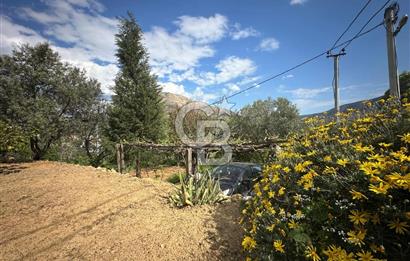 972 m² Bahçede Bağımsız Girişli 3 Katlı Müstakil Ev