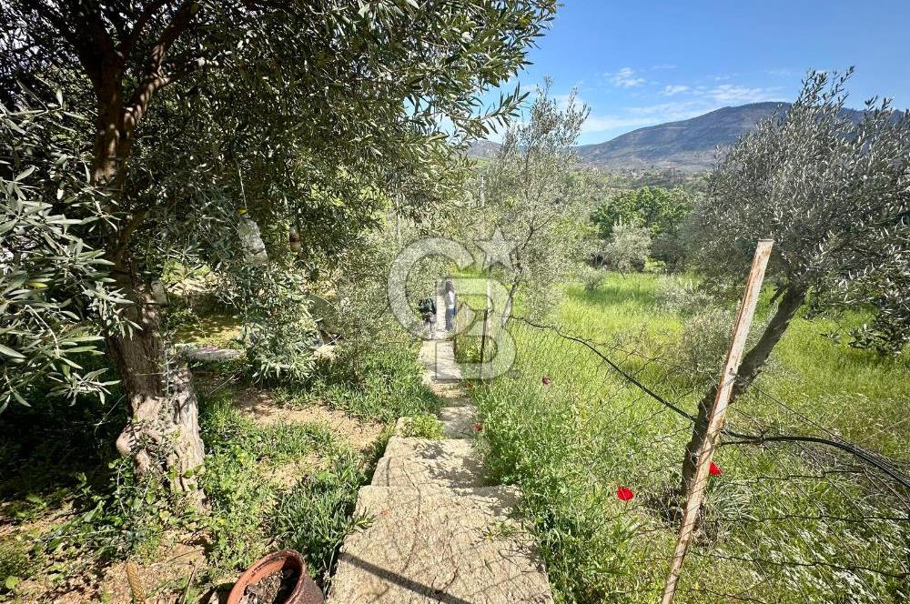 972 m² Bahçede Bağımsız Girişli 3 Katlı Müstakil Ev